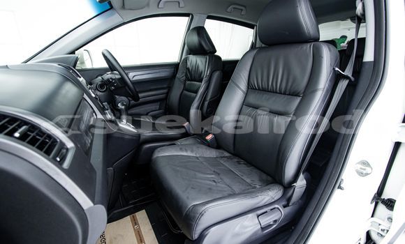 ซื้อ รถมือสอง Honda CR-V ขาว รถยนต์ ใน %{เมือง} ใน กรุงเทพมหานคร ซื้อ รถมือสอง Honda CR-V ขาว รถยนต์ ใน %{เมือง} ใน กรุงเทพมหานคร