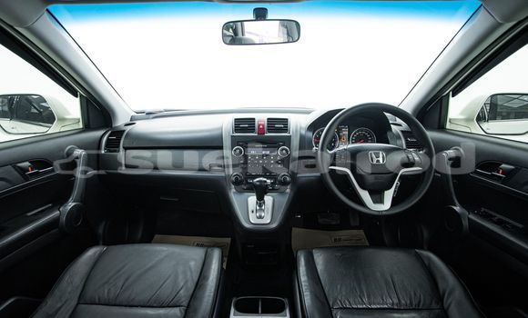 ซื้อ รถมือสอง Honda CR-V ขาว รถยนต์ ใน %{เมือง} ใน กรุงเทพมหานคร ซื้อ รถมือสอง Honda CR-V ขาว รถยนต์ ใน %{เมือง} ใน กรุงเทพมหานคร