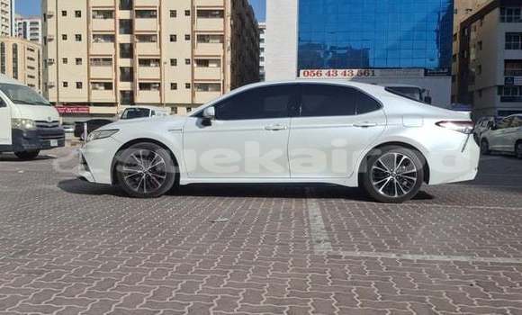 ซื้อ รถมือสอง Toyota Camry ขาว รถยนต์ ใน %{เมือง} ใน กรุงเทพมหานคร ซื้อ รถมือสอง Toyota Camry ขาว รถยนต์ ใน %{เมือง} ใน กรุงเทพมหานคร