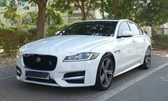 ซื้อ รถมือสอง Jaguar XF ขาว รถยนต์ ใน %{เมือง} ใน กรุงเทพมหานคร