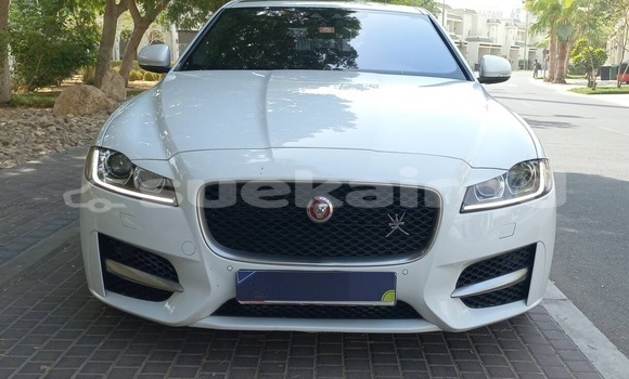 ซื้อ รถมือสอง Jaguar XF ขาว รถยนต์ ใน %{เมือง} ใน กรุงเทพมหานคร ซื้อ รถมือสอง Jaguar XF ขาว รถยนต์ ใน %{เมือง} ใน กรุงเทพมหานคร