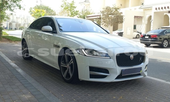 ซื้อ รถมือสอง Jaguar XF ขาว รถยนต์ ใน %{เมือง} ใน กรุงเทพมหานคร ซื้อ รถมือสอง Jaguar XF ขาว รถยนต์ ใน %{เมือง} ใน กรุงเทพมหานคร