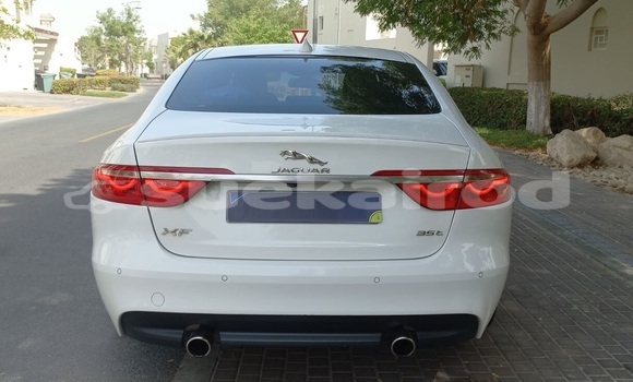 ซื้อ รถมือสอง Jaguar XF ขาว รถยนต์ ใน %{เมือง} ใน กรุงเทพมหานคร ซื้อ รถมือสอง Jaguar XF ขาว รถยนต์ ใน %{เมือง} ใน กรุงเทพมหานคร