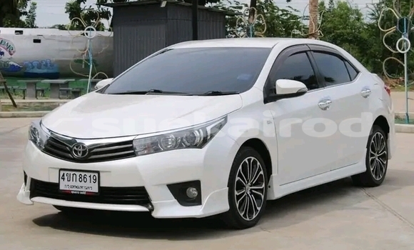 Buy Used Toyota Corolla White Car in Kalasin in Kalasin Buy Used Toyota Corolla White Car in Kalasin in Kalasin