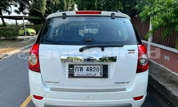 Buy Used Chevrolet Captiva White Car in Chachoengsao in Chachoengsao Buy Used Chevrolet Captiva White Car in Chachoengsao in Chachoengsao