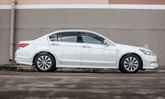 Buy Used Honda Accord White Car in Buri Ram in Buri Ram