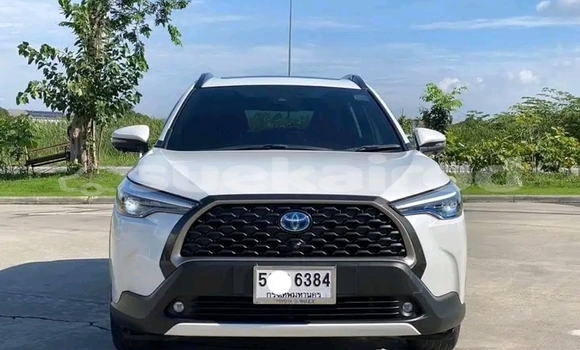 ซื้อ รถมือสอง Toyota Corolla ขาว รถยนต์ ใน %{เมือง} ใน ชัยนาท ซื้อ รถมือสอง Toyota Corolla ขาว รถยนต์ ใน %{เมือง} ใน ชัยนาท