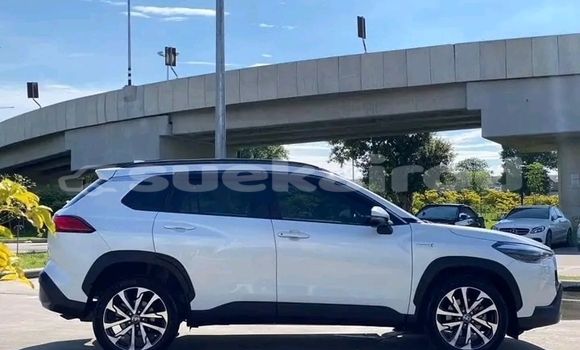 ซื้อ รถมือสอง Toyota Corolla ขาว รถยนต์ ใน %{เมือง} ใน ชัยนาท ซื้อ รถมือสอง Toyota Corolla ขาว รถยนต์ ใน %{เมือง} ใน ชัยนาท