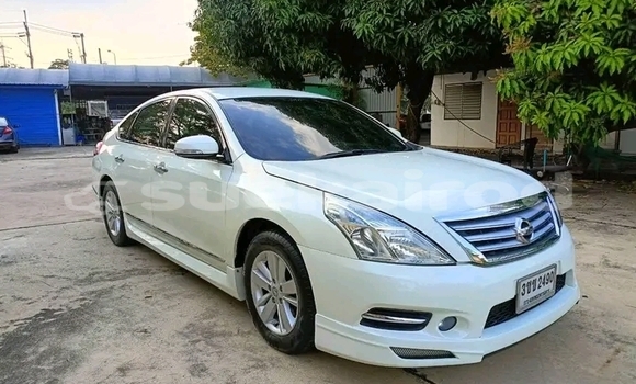 Buy Used Nissan Teana White Car in Kaeng Khlo in Chaiyaphum Buy Used Nissan Teana White Car in Kaeng Khlo in Chaiyaphum
