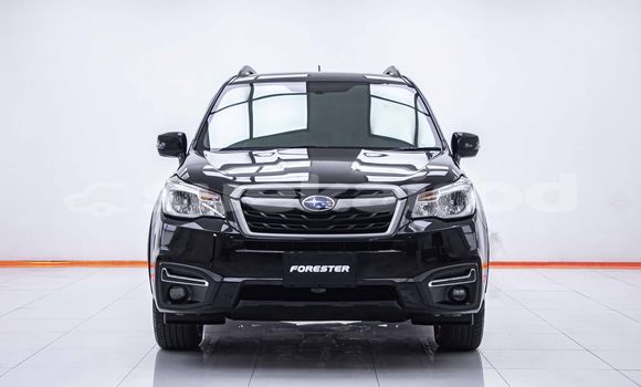 Buy Used Subaru Forester Black Car in Bangkok in Bangkok Buy Used Subaru Forester Black Car in Bangkok in Bangkok