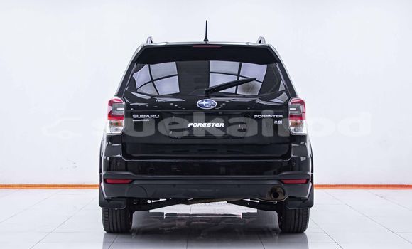Buy Used Subaru Forester Black Car in Bangkok in Bangkok Buy Used Subaru Forester Black Car in Bangkok in Bangkok
