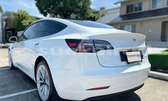 Buy Used Tesla Model 3 White Car in Bangkok in Bangkok Buy Used Tesla Model 3 White Car in Bangkok in Bangkok