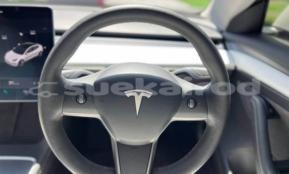 Buy Used Tesla Model 3 White Car in Bangkok in Bangkok Buy Used Tesla Model 3 White Car in Bangkok in Bangkok