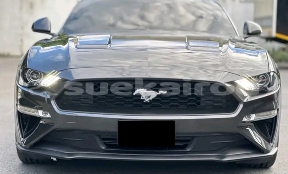 ซื้อ รถมือสอง Ford Mustang สีดำ รถยนต์ ใน %{เมือง} ใน บุรีรัมย์ ซื้อ รถมือสอง Ford Mustang สีดำ รถยนต์ ใน %{เมือง} ใน บุรีรัมย์