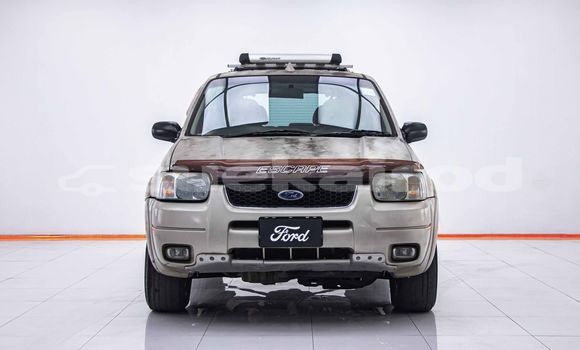 ซื้อ รถมือสอง Ford Escape สีน้ำตาล รถยนต์ ใน %{เมือง} ใน กรุงเทพมหานคร ซื้อ รถมือสอง Ford Escape สีน้ำตาล รถยนต์ ใน %{เมือง} ใน กรุงเทพมหานคร