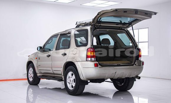 ซื้อ รถมือสอง Ford Escape สีน้ำตาล รถยนต์ ใน %{เมือง} ใน กรุงเทพมหานคร ซื้อ รถมือสอง Ford Escape สีน้ำตาล รถยนต์ ใน %{เมือง} ใน กรุงเทพมหานคร