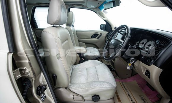 ซื้อ รถมือสอง Ford Escape สีน้ำตาล รถยนต์ ใน %{เมือง} ใน กรุงเทพมหานคร ซื้อ รถมือสอง Ford Escape สีน้ำตาล รถยนต์ ใน %{เมือง} ใน กรุงเทพมหานคร