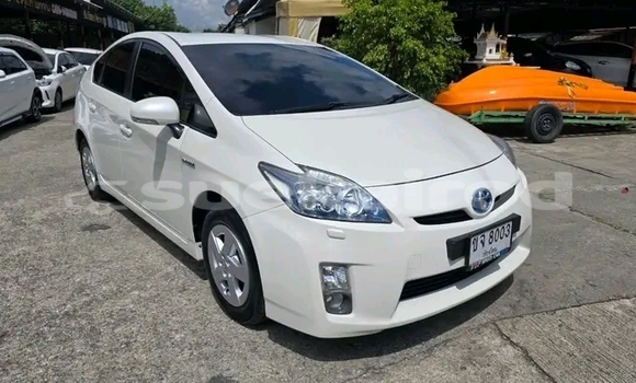 ซื้อ รถมือสอง Toyota Prius ขาว รถยนต์ ใน %{เมือง} ใน ชัยนาท ซื้อ รถมือสอง Toyota Prius ขาว รถยนต์ ใน %{เมือง} ใน ชัยนาท