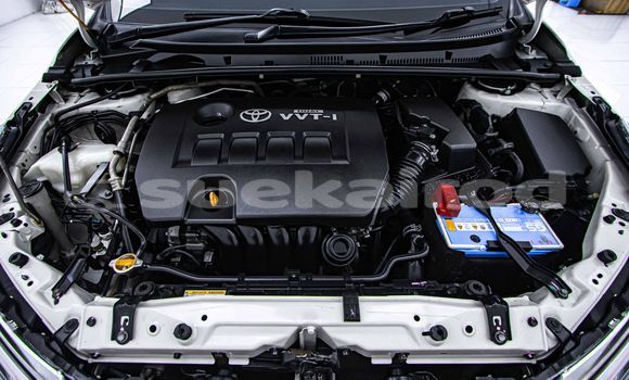 ซื้อ รถมือสอง Toyota Altis ขาว รถยนต์ ใน %{เมือง} ใน กรุงเทพมหานคร ซื้อ รถมือสอง Toyota Altis ขาว รถยนต์ ใน %{เมือง} ใน กรุงเทพมหานคร