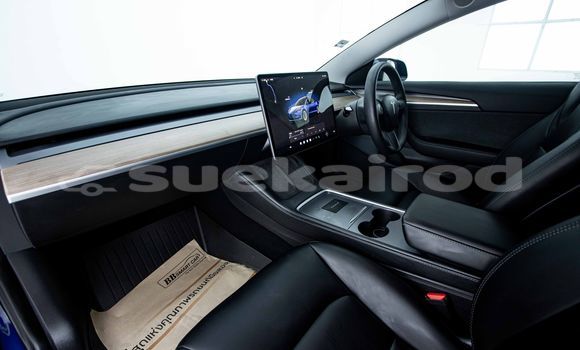 Buy Used Tesla Model 3 Blue Car in Bangkok in Bangkok Buy Used Tesla Model 3 Blue Car in Bangkok in Bangkok