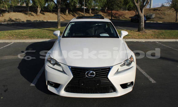 Buy Used Lexus IS White Car in Bangkok in Bangkok Buy Used Lexus IS White Car in Bangkok in Bangkok