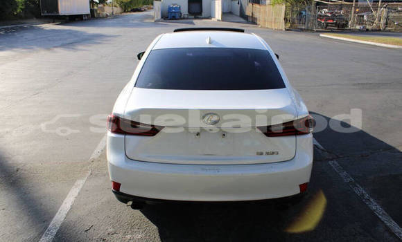 Buy Used Lexus IS White Car in Bangkok in Bangkok Buy Used Lexus IS White Car in Bangkok in Bangkok