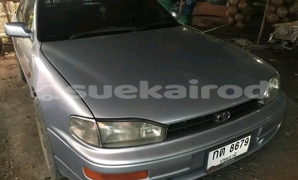 ซื้อ รถมือสอง Toyota Camry อื่น ๆ รถยนต์ ใน %{เมือง} ใน ชัยนาท ซื้อ รถมือสอง Toyota Camry อื่น ๆ รถยนต์ ใน %{เมือง} ใน ชัยนาท