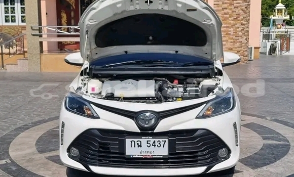 ซื้อ รถมือสอง Toyota Vios ขาว รถยนต์ ใน %{เมือง} ใน ชัยนาท ซื้อ รถมือสอง Toyota Vios ขาว รถยนต์ ใน %{เมือง} ใน ชัยนาท