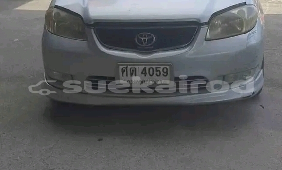 Buy Used Toyota Vios White Car in Chaiyaphum in Chaiyaphum Buy Used Toyota Vios White Car in Chaiyaphum in Chaiyaphum