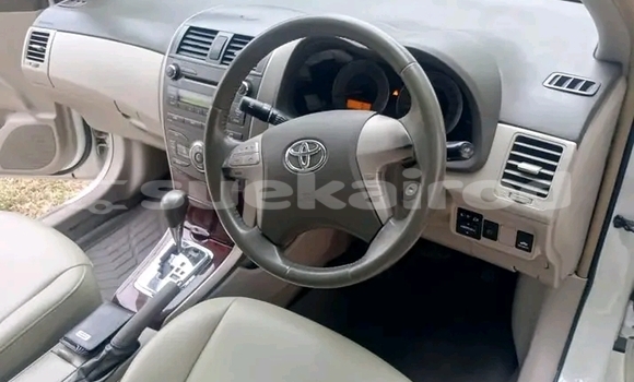 ซื้อ รถมือสอง Toyota Tercel ขาว รถยนต์ ใน %{เมือง} ใน ฉะเชิงเทรา ซื้อ รถมือสอง Toyota Tercel ขาว รถยนต์ ใน %{เมือง} ใน ฉะเชิงเทรา