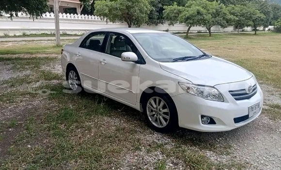 ซื้อ รถมือสอง Toyota Tercel ขาว รถยนต์ ใน %{เมือง} ใน ฉะเชิงเทรา ซื้อ รถมือสอง Toyota Tercel ขาว รถยนต์ ใน %{เมือง} ใน ฉะเชิงเทรา