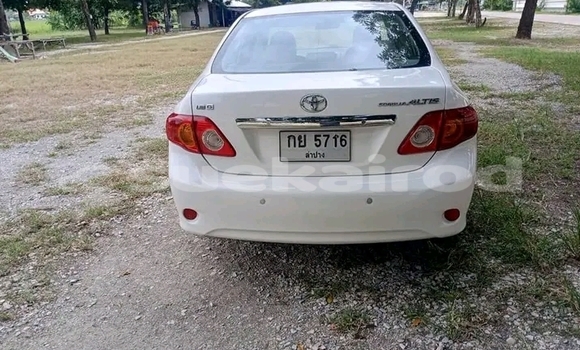 ซื้อ รถมือสอง Toyota Tercel ขาว รถยนต์ ใน %{เมือง} ใน ฉะเชิงเทรา ซื้อ รถมือสอง Toyota Tercel ขาว รถยนต์ ใน %{เมือง} ใน ฉะเชิงเทรา