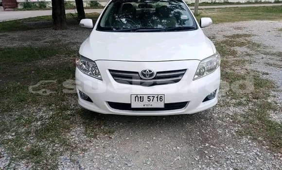 ซื้อ รถมือสอง Toyota Tercel ขาว รถยนต์ ใน %{เมือง} ใน ฉะเชิงเทรา ซื้อ รถมือสอง Toyota Tercel ขาว รถยนต์ ใน %{เมือง} ใน ฉะเชิงเทรา