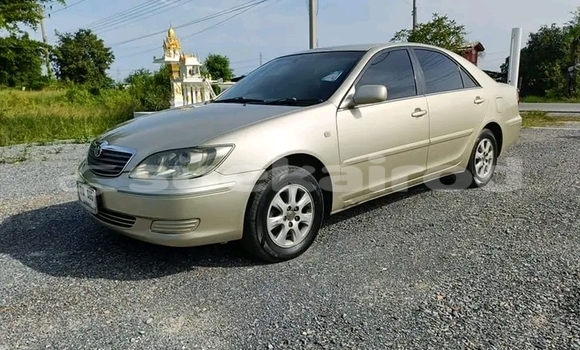 ซื้อ รถมือสอง Toyota Camry อื่น ๆ รถยนต์ ใน %{เมือง} ใน บึงกาฬ ซื้อ รถมือสอง Toyota Camry อื่น ๆ รถยนต์ ใน %{เมือง} ใน บึงกาฬ