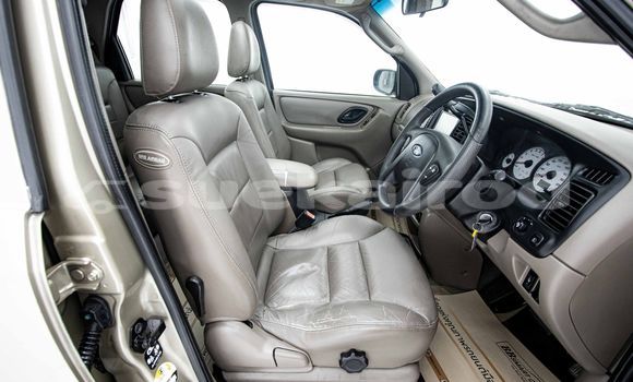 ซื้อ รถมือสอง Ford Escape สีน้ำตาล รถยนต์ ใน %{เมือง} ใน กรุงเทพมหานคร ซื้อ รถมือสอง Ford Escape สีน้ำตาล รถยนต์ ใน %{เมือง} ใน กรุงเทพมหานคร