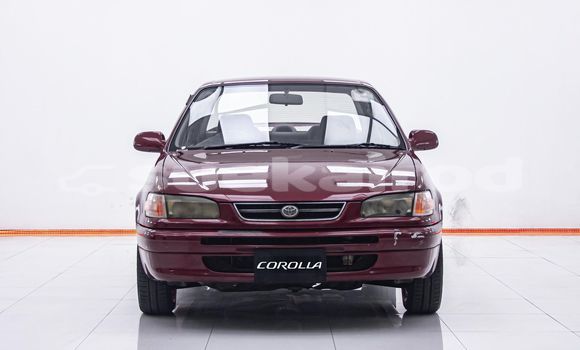 ซื้อ รถมือสอง Toyota Corolla สีแดง รถยนต์ ใน %{เมือง} ใน กรุงเทพมหานคร ซื้อ รถมือสอง Toyota Corolla สีแดง รถยนต์ ใน %{เมือง} ใน กรุงเทพมหานคร