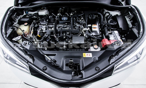 ซื้อ รถมือสอง Toyota C-HR ขาว รถยนต์ ใน %{เมือง} ใน กรุงเทพมหานคร ซื้อ รถมือสอง Toyota C-HR ขาว รถยนต์ ใน %{เมือง} ใน กรุงเทพมหานคร