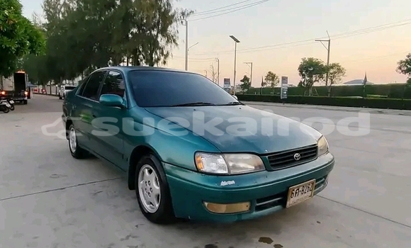 ซื้อ รถมือสอง Toyota Auris อื่น ๆ รถยนต์ ใน %{เมือง} ใน ฉะเชิงเทรา ซื้อ รถมือสอง Toyota Auris อื่น ๆ รถยนต์ ใน %{เมือง} ใน ฉะเชิงเทรา