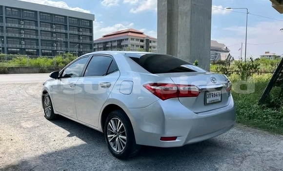 ซื้อ รถมือสอง Toyota Altis อื่น ๆ รถยนต์ ใน %{เมือง} ใน ชัยภูมิ ซื้อ รถมือสอง Toyota Altis อื่น ๆ รถยนต์ ใน %{เมือง} ใน ชัยภูมิ