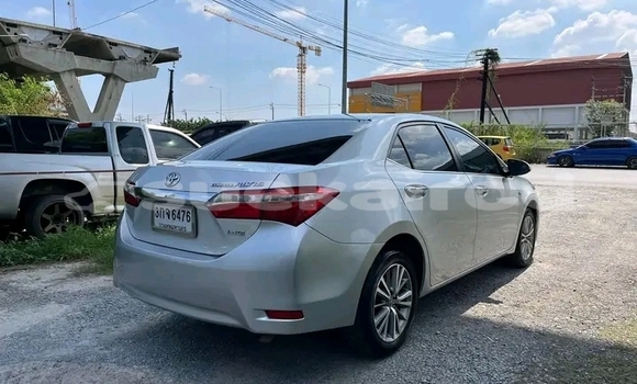 ซื้อ รถมือสอง Toyota Altis อื่น ๆ รถยนต์ ใน %{เมือง} ใน ชัยภูมิ ซื้อ รถมือสอง Toyota Altis อื่น ๆ รถยนต์ ใน %{เมือง} ใน ชัยภูมิ