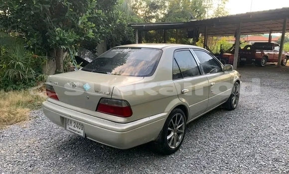 ซื้อ รถมือสอง Toyota Soluna อื่น ๆ รถยนต์ ใน %{เมือง} ใน ชัยนาท ซื้อ รถมือสอง Toyota Soluna อื่น ๆ รถยนต์ ใน %{เมือง} ใน ชัยนาท