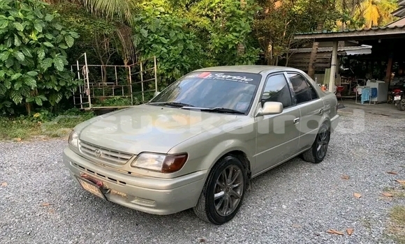 ซื้อ รถมือสอง Toyota Soluna อื่น ๆ รถยนต์ ใน %{เมือง} ใน ชัยนาท ซื้อ รถมือสอง Toyota Soluna อื่น ๆ รถยนต์ ใน %{เมือง} ใน ชัยนาท