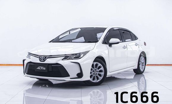 Buy Used Toyota Altis White Car in Bangkok in Bangkok