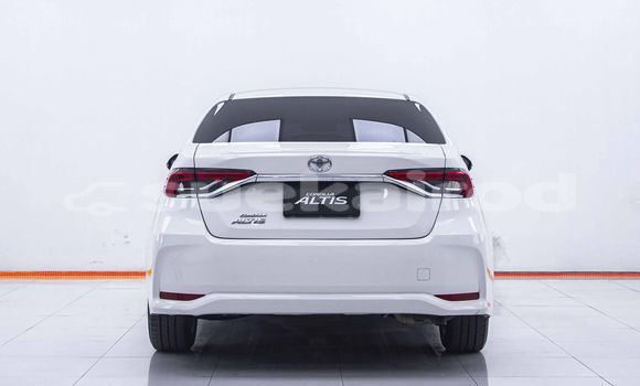 Buy Used Toyota Altis White Car in Bangkok in Bangkok Buy Used Toyota Altis White Car in Bangkok in Bangkok