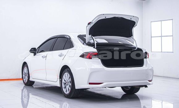 Buy Used Toyota Altis White Car in Bangkok in Bangkok Buy Used Toyota Altis White Car in Bangkok in Bangkok