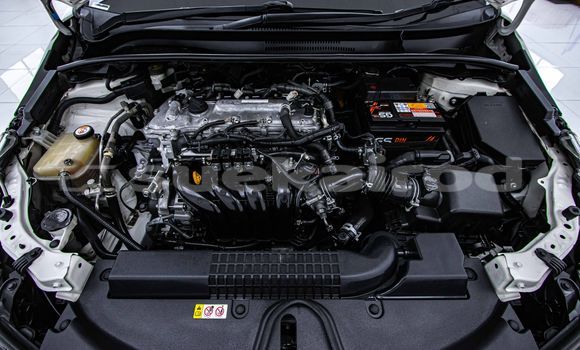 Buy Used Toyota Altis White Car in Bangkok in Bangkok Buy Used Toyota Altis White Car in Bangkok in Bangkok