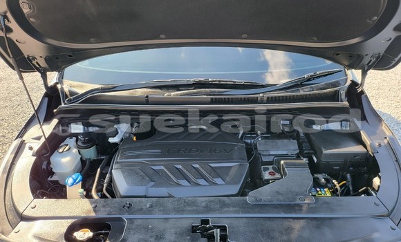 Buy Used Kia Carnival Black Car in Bangkok in Bangkok Buy Used Kia Carnival Black Car in Bangkok in Bangkok