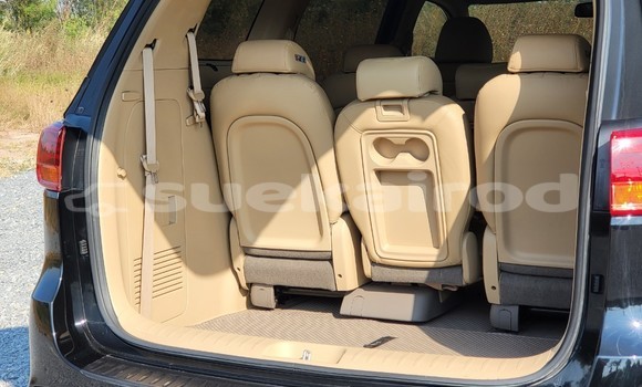 Buy Used Kia Carnival Black Car in Bangkok in Bangkok Buy Used Kia Carnival Black Car in Bangkok in Bangkok