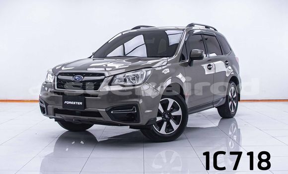 Buy Used Subaru Forester Brown Car in Bangkok in Bangkok