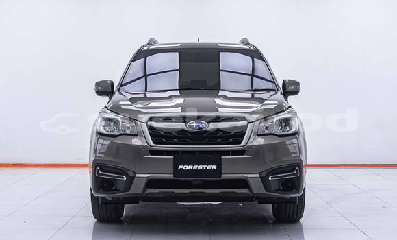 ซื้อ รถมือสอง Subaru Forester สีน้ำตาล รถยนต์ ใน %{เมือง} ใน กรุงเทพมหานคร ซื้อ รถมือสอง Subaru Forester สีน้ำตาล รถยนต์ ใน %{เมือง} ใน กรุงเทพมหานคร